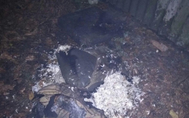 В Запорожской области мужчина травмировался в горящем доме Фото № 1 В Запорожской области мужчина травмировался в горящем доме Фото № 1