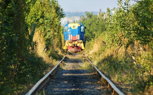 В Запорожье обнаружили свой В Запорожье обнаружили свой