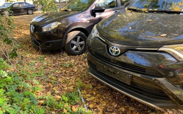 В Запорожье 13 октября украли 13 номерных знаков с автомобилей Фото № 2 В Запорожье 13 октября украли 13 номерных знаков с автомобилей Фото № 2