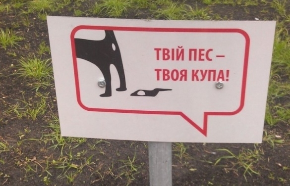Жители Запорожья предлагают обустроить места для выгула собак Фото № 0 Жители Запорожья предлагают обустроить места для выгула собак Фото № 0