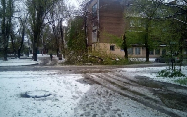 Фотофакт: Во всех районах Запорожья падают деревья и страдают автомобили Фото № 11 Фотофакт: Во всех районах Запорожья падают деревья и страдают автомобили Фото № 11
