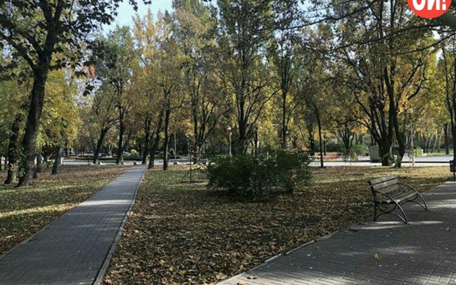 Как стала выглядеть Аллея Славы в Запорожье (ФОТОРЕПОРТАЖ) Фото № 26 Как стала выглядеть Аллея Славы в Запорожье (ФОТОРЕПОРТАЖ) Фото № 26