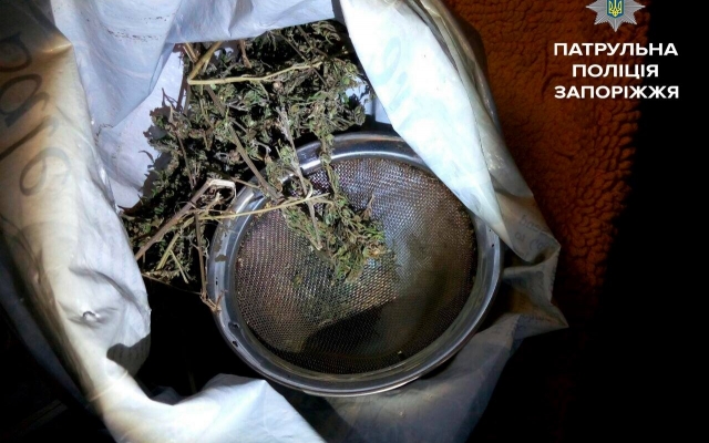 Обкуренный сын издевался над матерью Фото № 1 Обкуренный сын издевался над матерью Фото № 1
