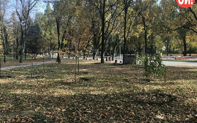 Как стала выглядеть Аллея Славы в Запорожье (ФОТОРЕПОРТАЖ) Фото № 2 Как стала выглядеть Аллея Славы в Запорожье (ФОТОРЕПОРТАЖ) Фото № 2