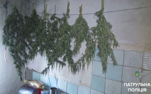 Буйного мариупольца патрульные останавливали слезоточивым газом и оружием Фото № 0 Буйного мариупольца патрульные останавливали слезоточивым газом и оружием Фото № 0