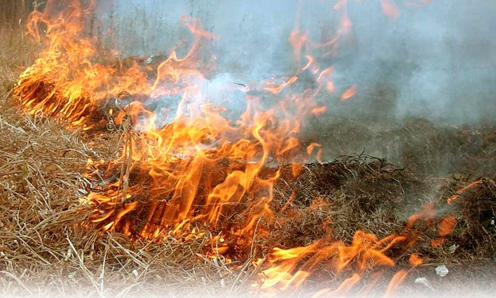 Трагический случай: Во время пожара мужчина пытался потушить огонь и сгорел