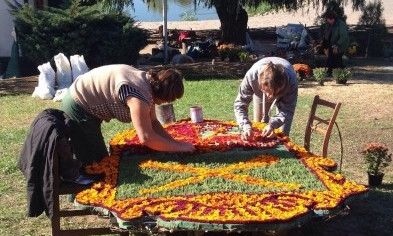 В Запорожье сделают торт из 18 тысяч цветов