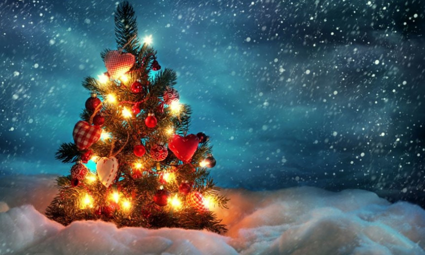 В Запорожской области начали установку первой новогодней елки