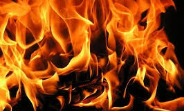 В Запорожской области пожар, погиб человек