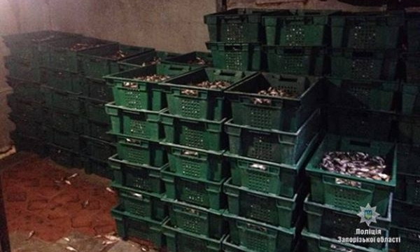 В Запорожской области изъяли 2 тонны незаконно выловленной рыбы