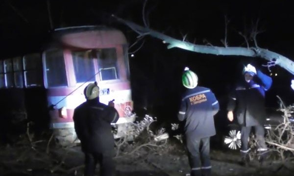 ЧП в Запорожье: Дерево упало на трамвайные пути, заблокировав движение. ВИДЕО