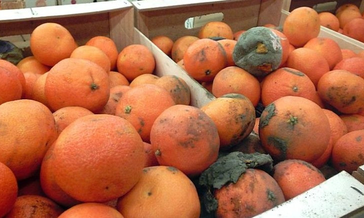 Запорожцы возмущены качеством продуктов известного супермаркета (ФОТО)
