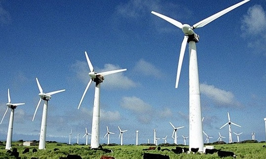 В Запорожской области выделили около 2000 гектаров земли для постройки ветроэлектростанции