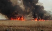 В сети появилось видео крупного пожара на Южном