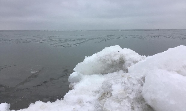В сети показали необычное море подо льдом (ВИДЕО)