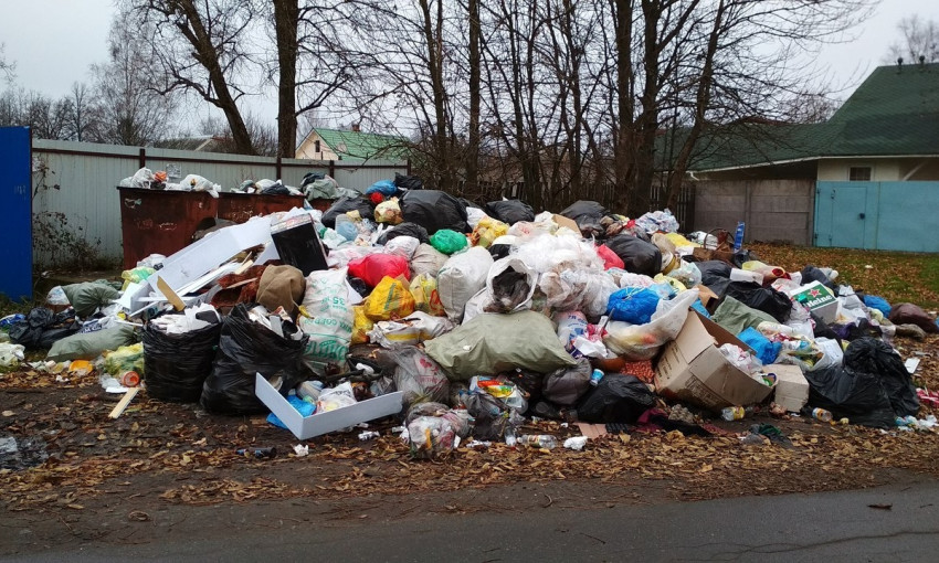 Куротный поселок в Запорожской области забросали мусором (ВИДЕО)