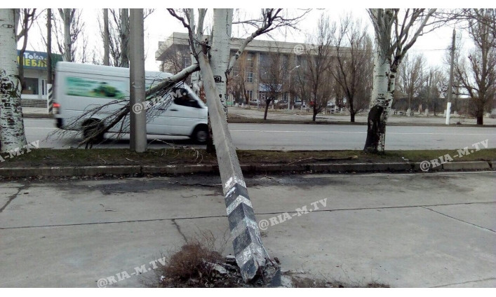 В Запорожской области столб повис на ветках над головами людей (ФОТО)