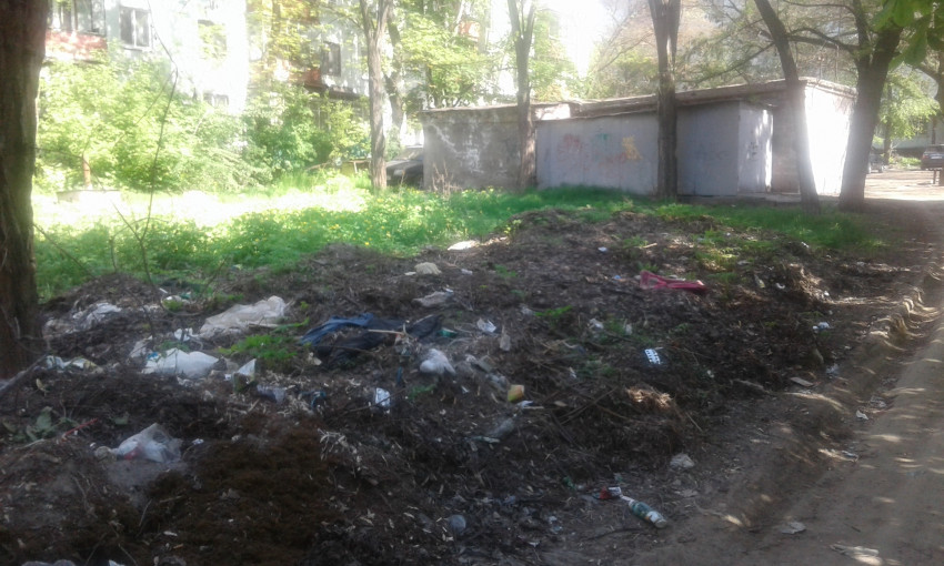 В центре Запорожья несколько лет лежат кучи мусора: Коммунальщики бездействуют (ФОТО)