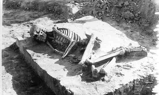 Опубликованы снимки скелетов, найденных на Днепрострое (ФОТО)
