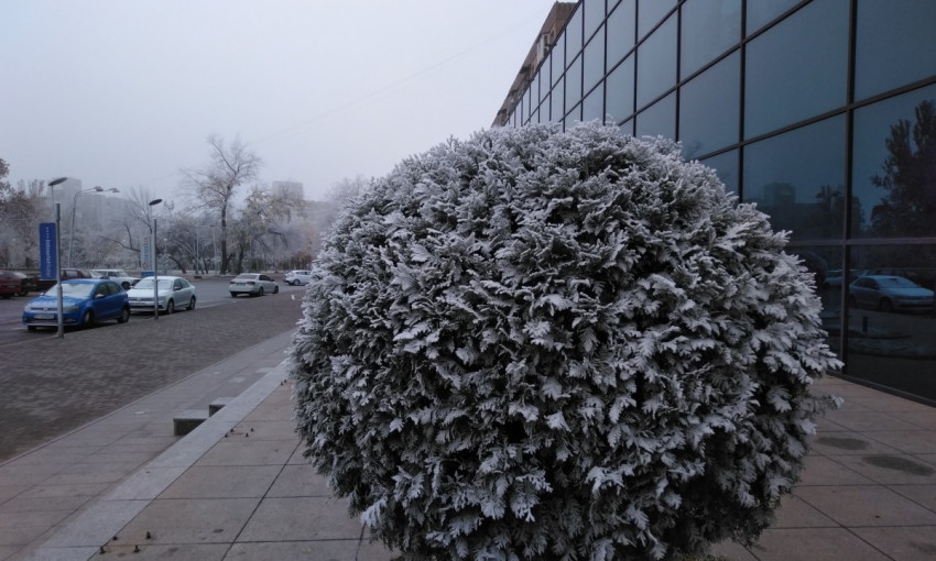 В Запорожье внезапно пришла зима (ФОТО)