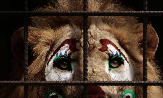 В сети появилась петиция о запрете цирков