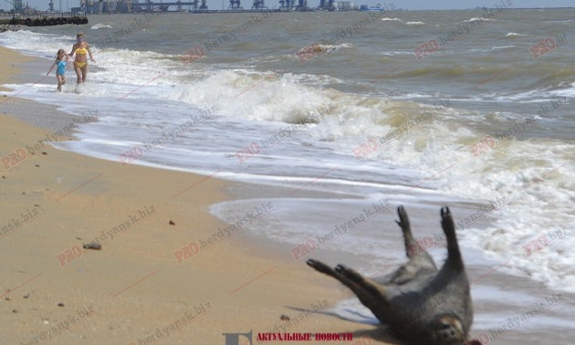 На берегу моря наблюдали страшную картину: Волны вынесли труп (ФОТО)