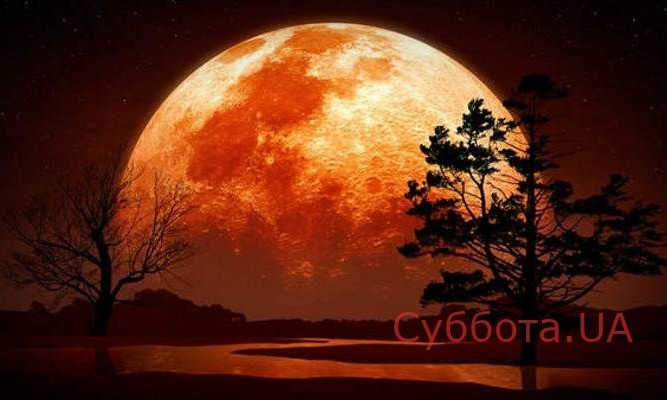 Запорожские фотографы запечатлели "красную" Луну над городом (ФОТО)