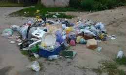 Запорожские супруги собирают мусор (ВИДЕО)