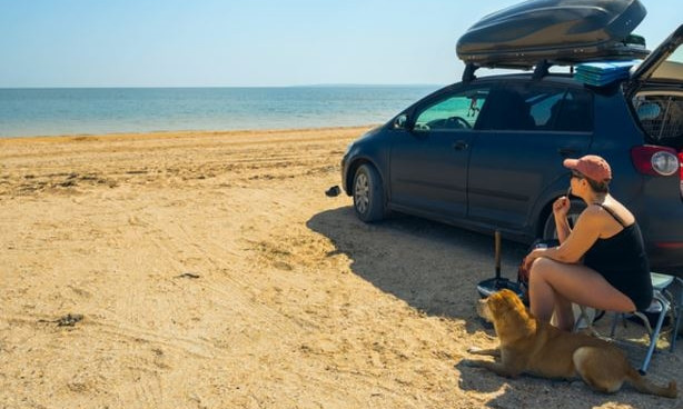 Новые правила: На территорию прибрежной зоны запорожских курортов нельзя заезжать автомобилем