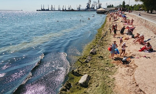 С пляжей запорожского курорта грузовиками вывозят водоросли (ФОТО)