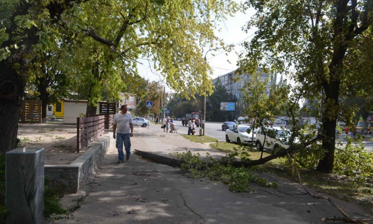 Смотрите: Последствия стихии в Запорожье (ФОТО)
