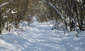 В сети опубликовали необычный ролик зимней Хортицы, снятой с высоты (ВИДЕО)