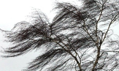 В Запорожье объявили штормовое предупреждение: Горожан просят быть осторожными