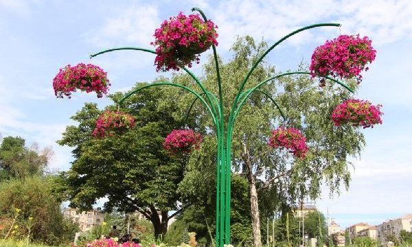 Запорожцы восхищаются цветочным преображением города (ФОТО)