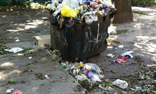 В Запорожье уже месяц "тухнет" мусор (ФОТО)