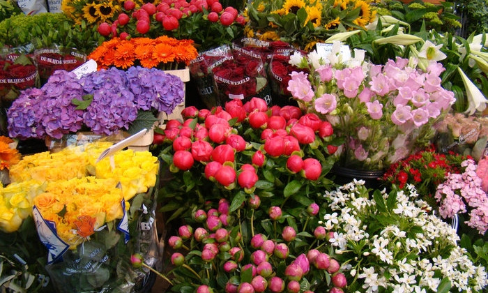 На Бабурке планируют открыть цветочный рынок