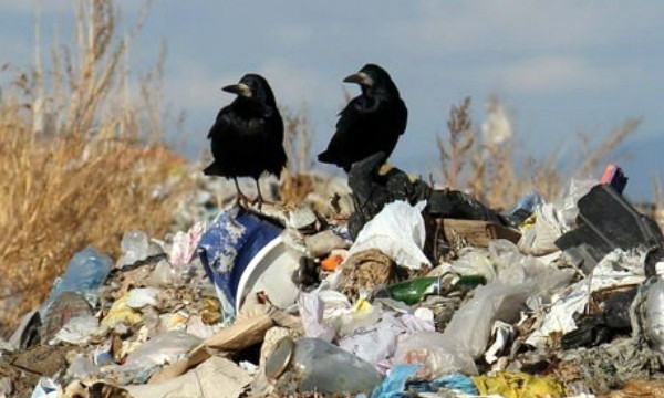 На окраине Бородинского микрорайона Запорожья обнаружилась свалка мусора (ВИДЕО)