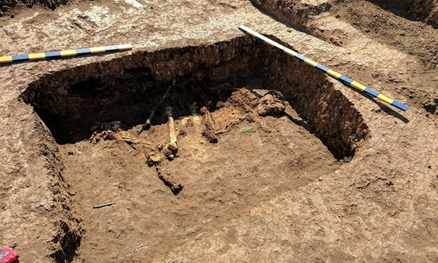 Под Запорожьем археологи нашли скелет из бронзового века (ФОТО)