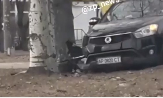 В Хортицком районе ДТП: Автомобиль врезался в дерево (ВИДЕО)