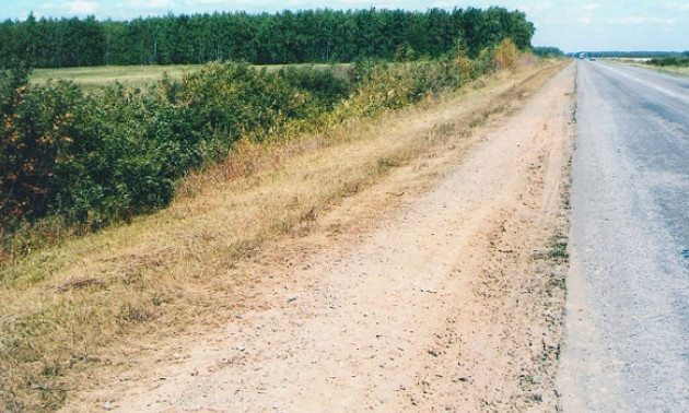 В Запорожской области на обочине трассы лежал труп