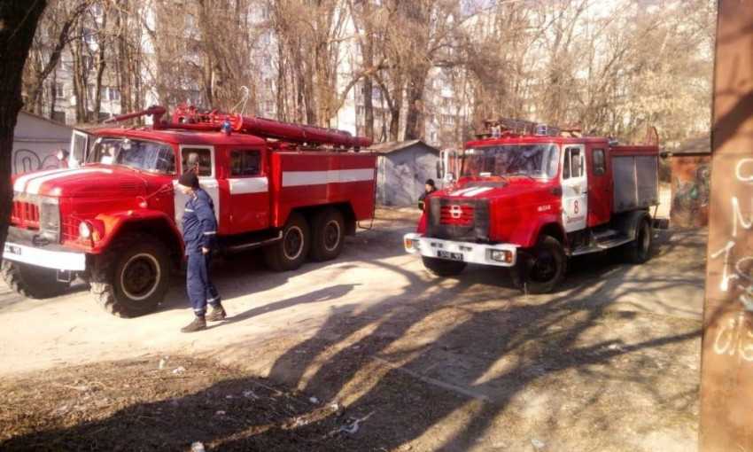 Пожарные тушили лес в Запорожье