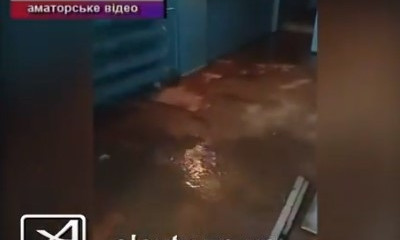 В Запорожье появился дом-аквариум (ВИДЕО)
