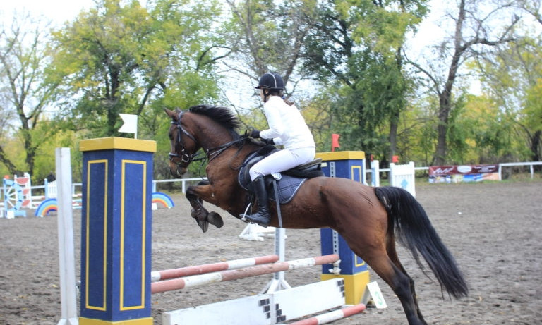 В Запорожье прошло открытие чемпионата по конному спорту (ФОТО)