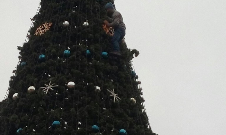 В погоне за фото: пьяный мужчина залез на главную елку Мелитополя