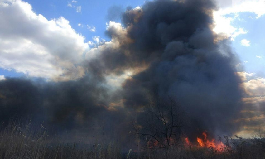 Стало известно о последствиях вчерашних крупных пожаров в Запорожье