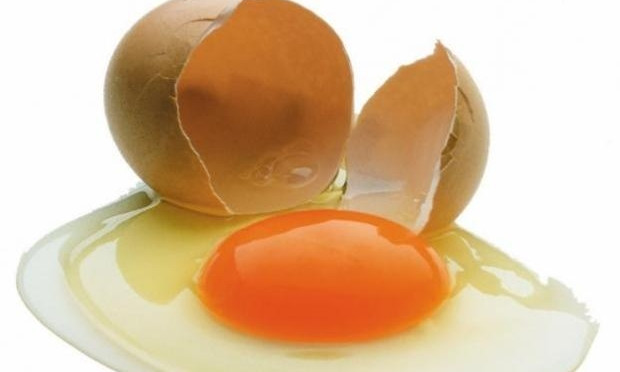Запорожец заплатит 1700 гривен за яйцо