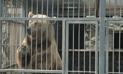 В запорожском зоопарке появился интересный и необычный житель