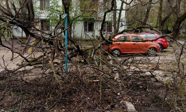 В центре Запорожья дерево упало на машину