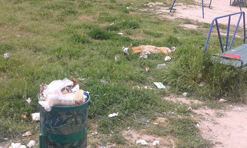 Ужас: детские площадки Запорожья тонут в мусоре (ФОТО)
