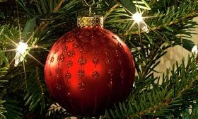 На Рождество в Запорожье неизвестные обнесли новогоднюю елку